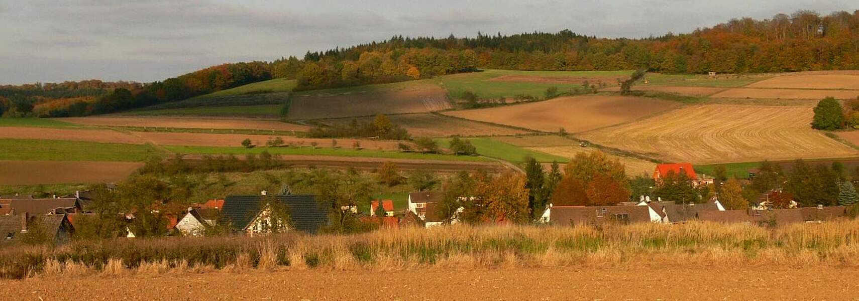 Landwirtschaft steht unter enormem Preis- und Wettbewerbsdruck Landwirtschaft steht unter enormem Preis- und Wettbewerbsdruck