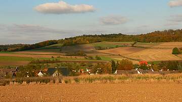 Suchergebnis Vorschaubild