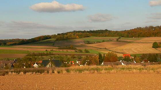 Suchergebnis Vorschaubild Suchergebnis Vorschaubild