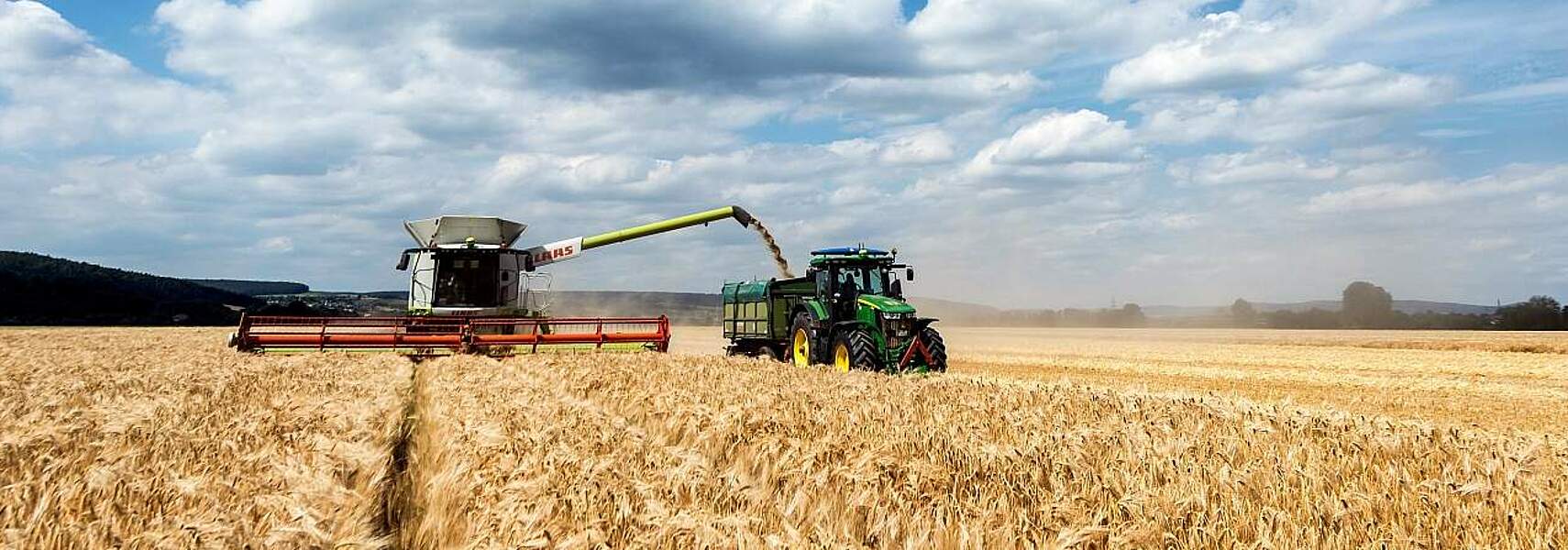 Bauernverband legt ernüchternde Bilanz für Getreideernte 2024 vor