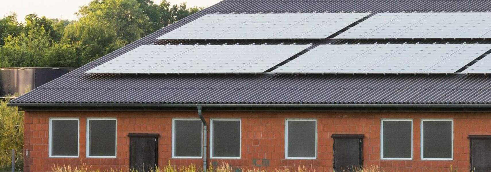 Deutscher Bauernverband kritisiert den geleakten EEG-Arbeitsentwurf