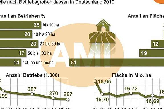 Deutscher Bauernverband e.V. - Situationsbericht - Betriebe und Betriebsgrößen