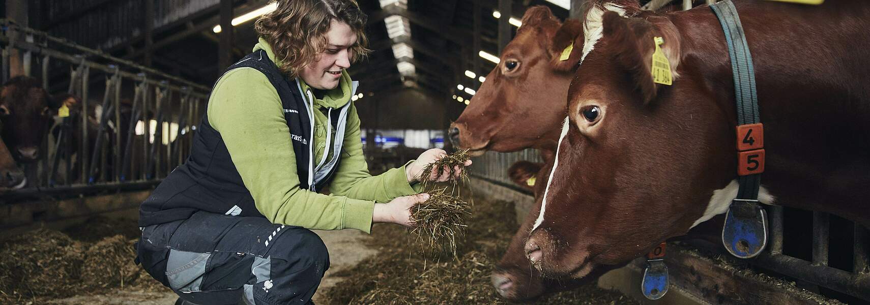 Die Landwirtschaft: Ein Arbeitsmarkt mit Anspruch