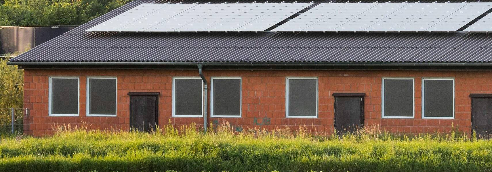 Potenziale und Synergien von Agri-Photovoltaik im EEG nutzen