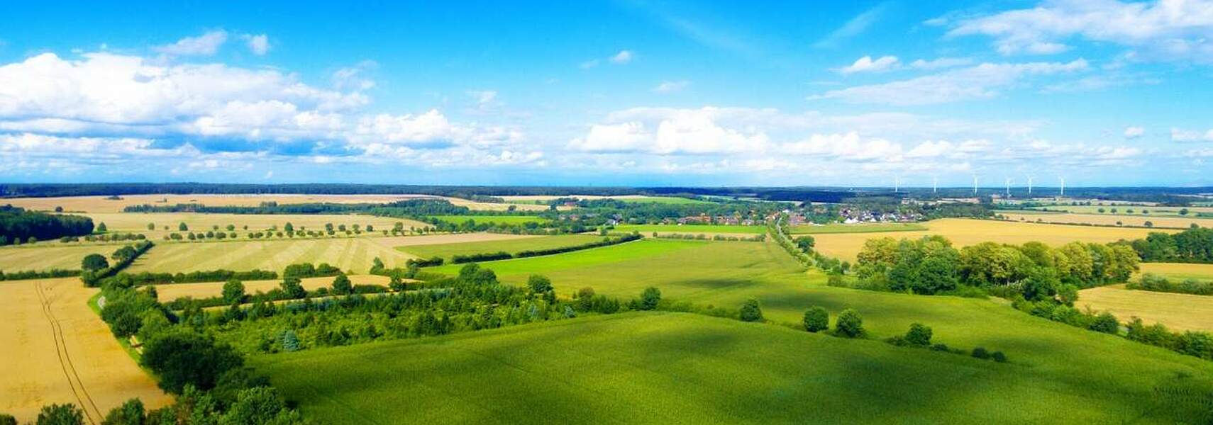 Naturwiederherstellungsgesetz bleibt eine Belastung für die Landwirtschaft