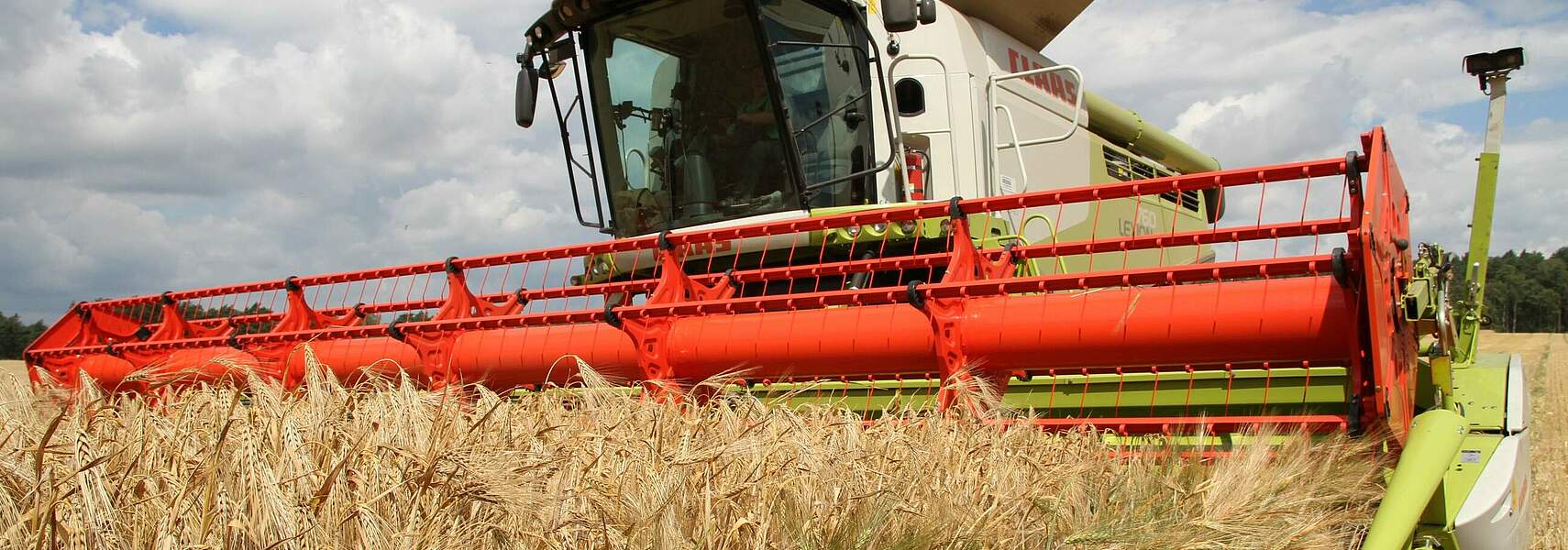 Getreideernte 2021: Regionale Unterschiede bei Erträgen erwartet