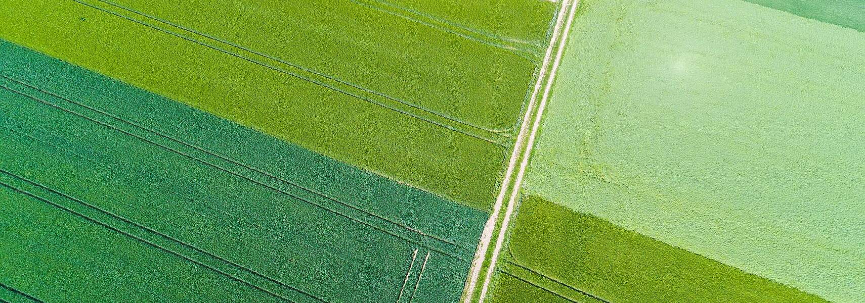 Europaabgeordnete setzen wichtiges Signal für eine starke Gemeinsame Agrarpolitik