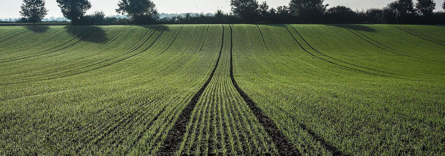 „Landwirtschaft bleibt auch nach der Corona-Pandemie systemrelevant“