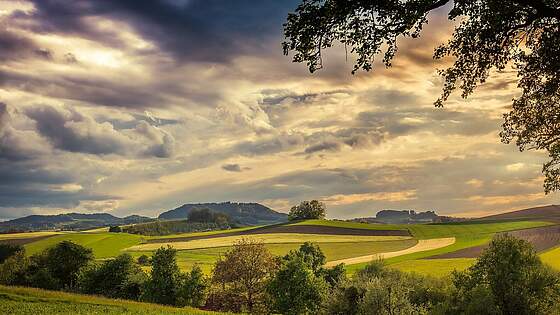 Suchergebnis Vorschaubild