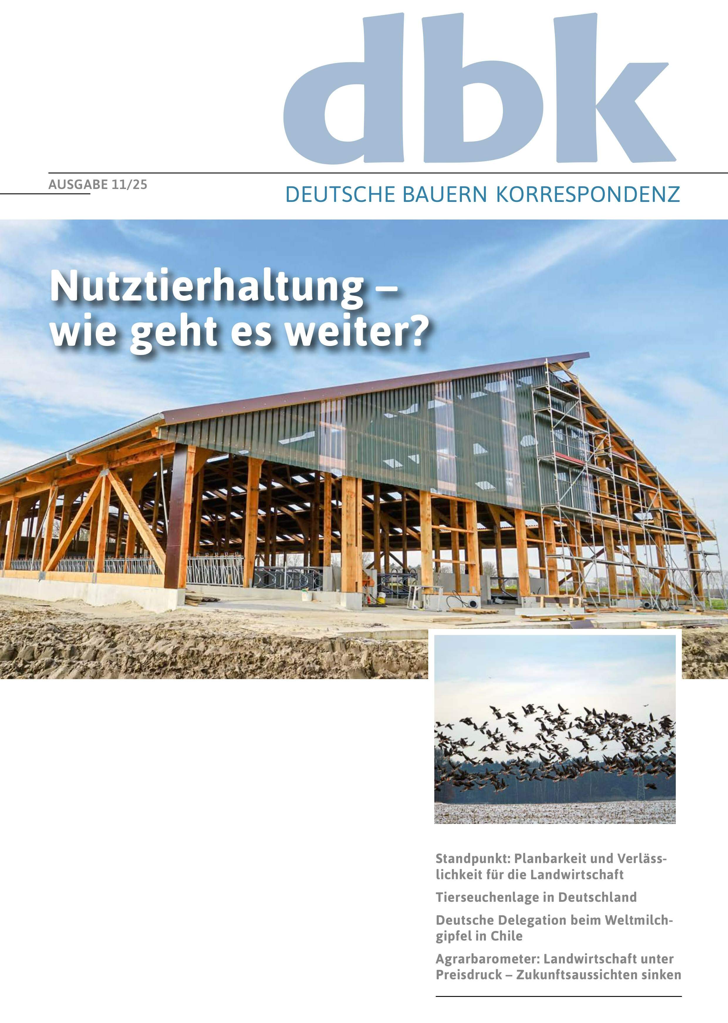 Aktuelles Cover der dbk mit Link zur Leseprobe.
