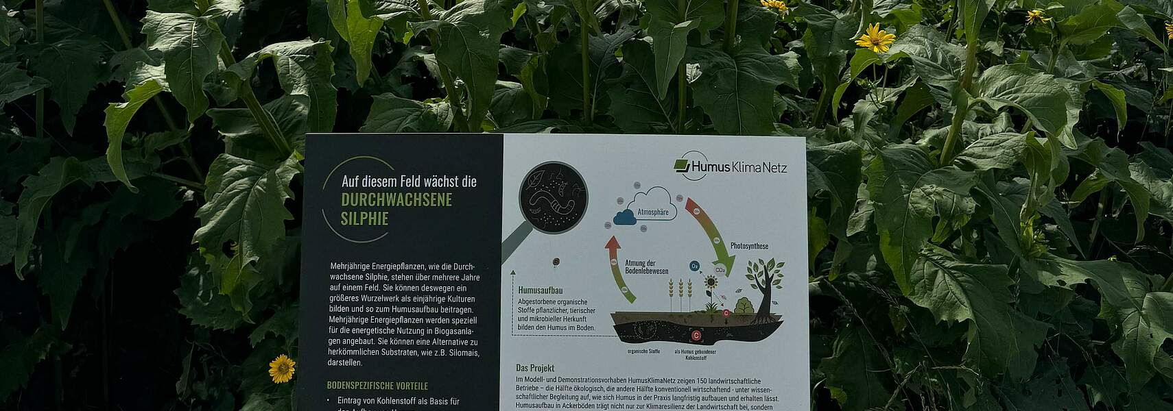 Bundeslandwirtschaftsminister Alois Rainer zu Besuch auf HumusKlimaNetz-Demonstrationsbetrieb in Groß Machnow (Brandenburg)