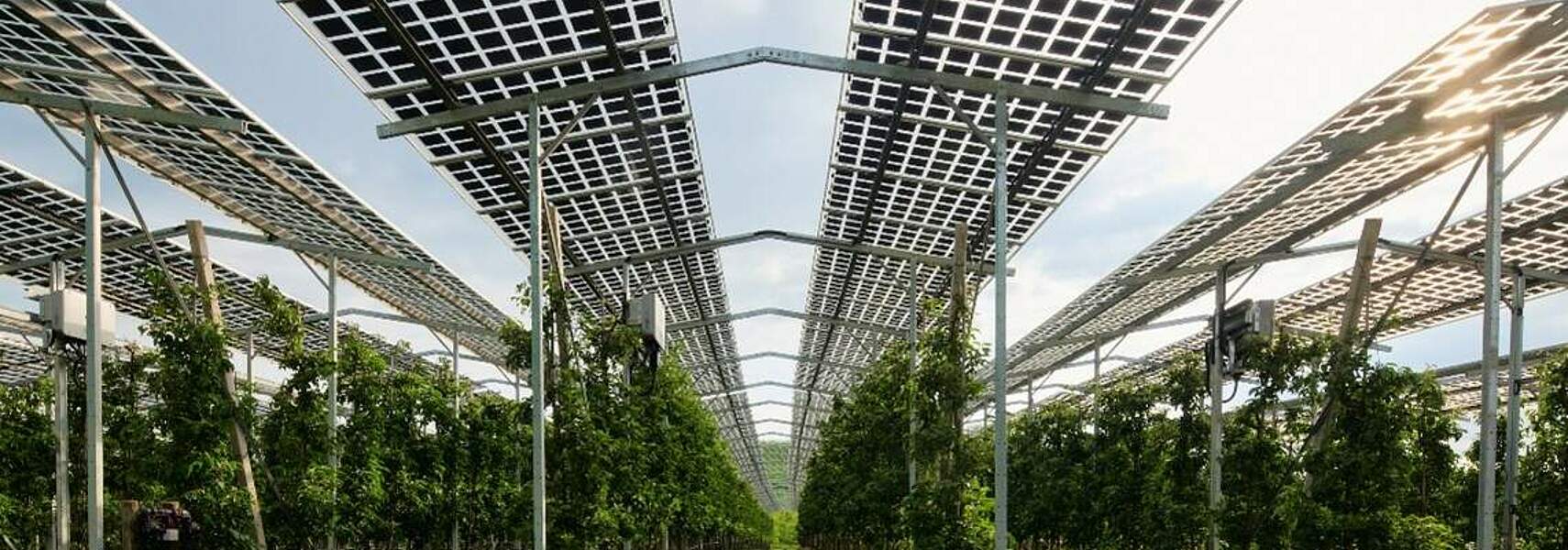 Agri-Photovoltaik: bessere Chancen für kleinere Anlagen