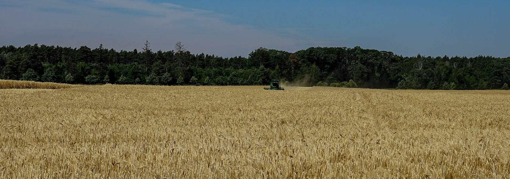 Landwirte brauchen jetzt Klarheit in der GAP-Förderung ab 2023