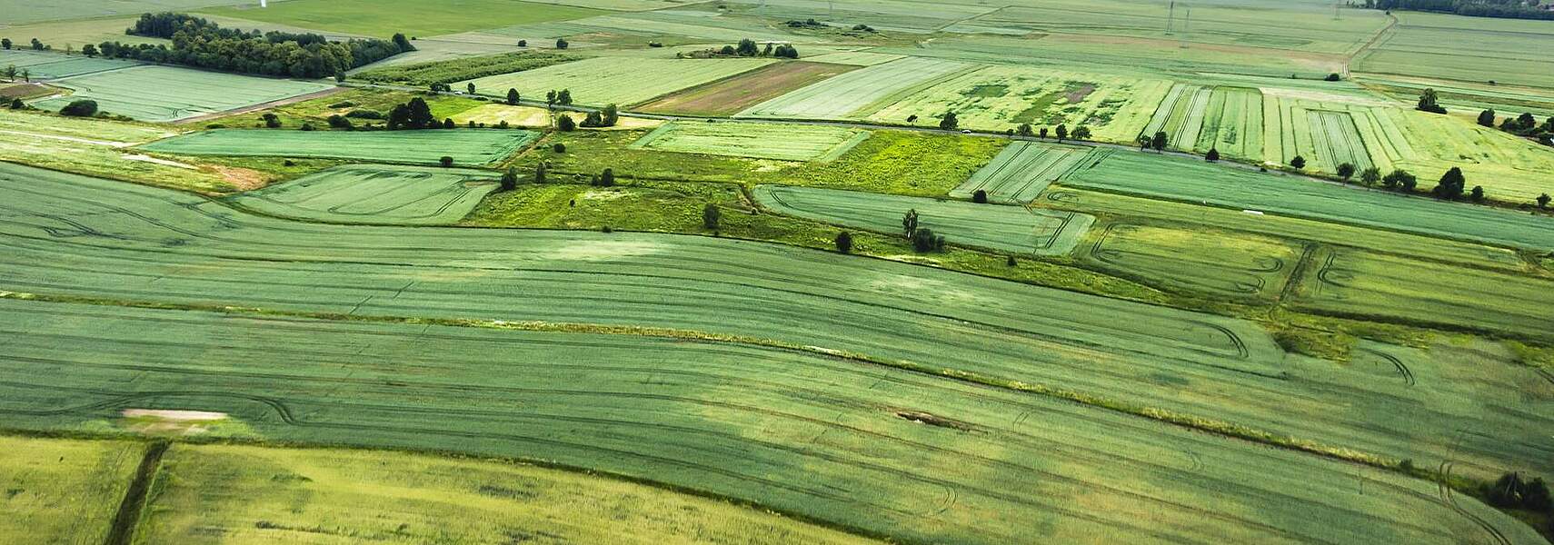 GAP-Regeln ab 2025: Landwirte brauchen im August Gewissheit