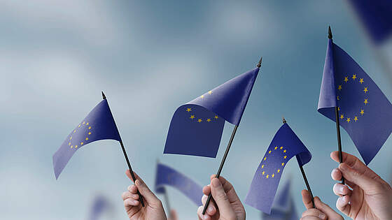 Suchergebnis Vorschaubild Suchergebnis Vorschaubild