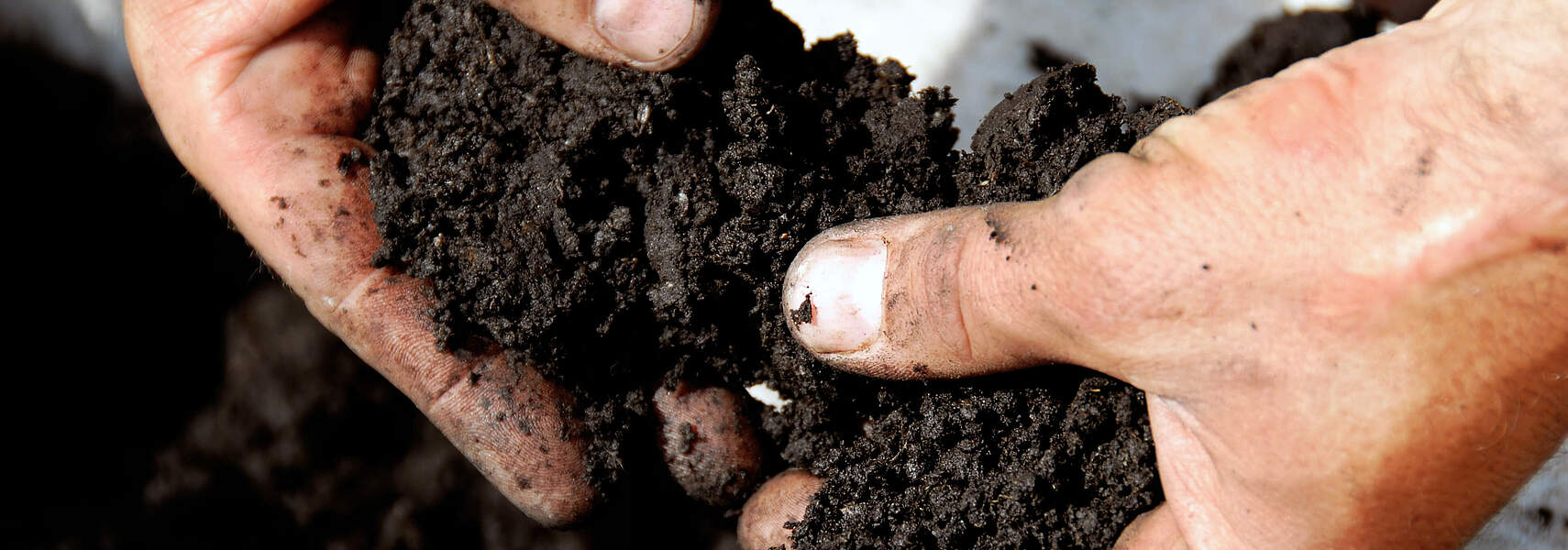 EU-Rahmen für Carbon Farming entwickeln