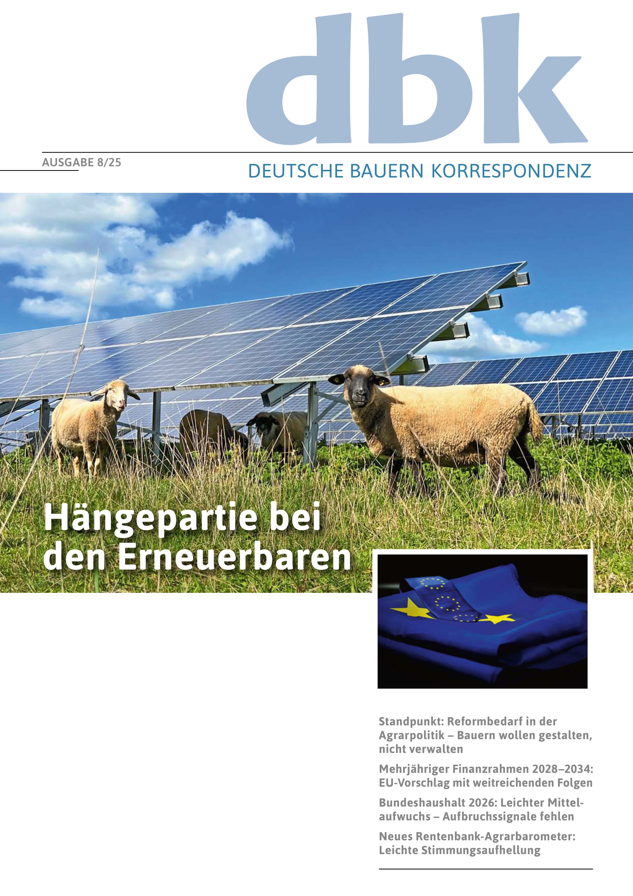 Aktuelles Cover der dbk mit Link zur Leseprobe.