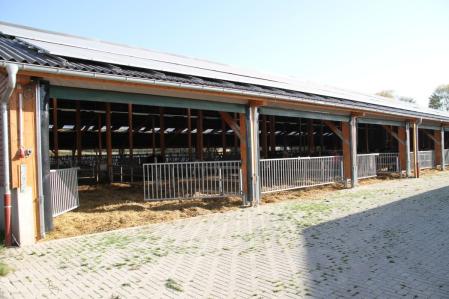 Stallneubau 