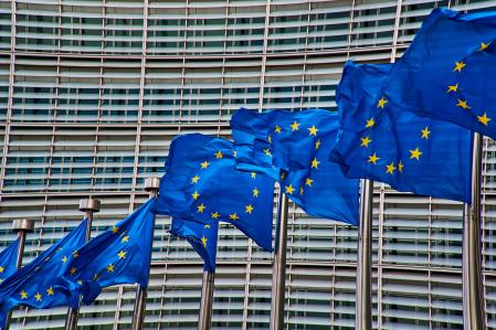 Blaue EU Flaggen vor dem EU-Parlament