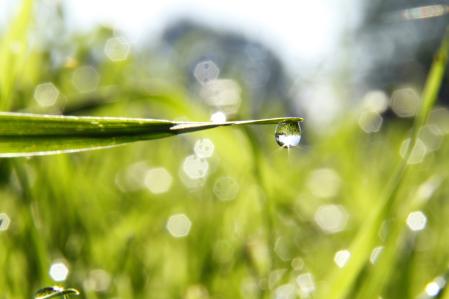 drops-of-water-4891488_c_AnneBourbeau_pixabay.jpg