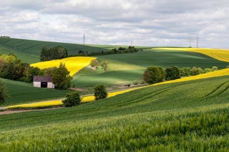 Agrikultur Felder 
