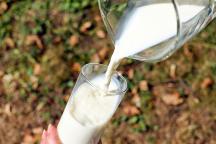 Milchglas wird gefüllt