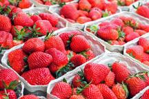 A5_strawberries-1350482_c_Couleur_pixabay.jpg