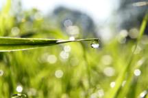 drops-of-water-4891488_c_AnneBourbeau_pixabay.jpg