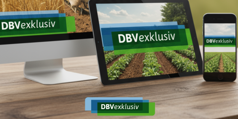 DBVexklusiv