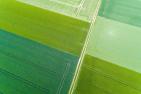 Felder Acker Landwirtschaft