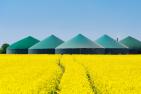 Biogas