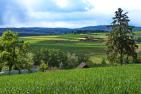 Landschaft