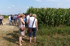 P1060436_DBV_Boese.JPG