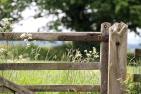 farm-gate-1591383_c_Kevsphotos_pixabay.jpg