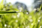 drops-of-water-4891488_c_AnneBourbeau_pixabay.jpg