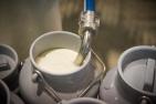 2020-068_milk-4133945__c_Ehrecke_pixabay.jpg