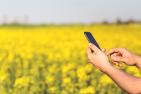smartphone-791324_1920_pixabay-KarolinaGrabowska.jpg