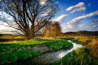 bach-4900031_1920_pixabay_Albrecht_Fietz.jpg