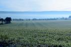 landscape-1882348_1920_pixabay-Hans_Linde.jpg