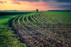 field-5305791_1920_pixabay_Albrecht_Fietz.jpg