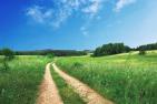 footpath-691021_1920_pixabay_Free-Photos_bea.jpg