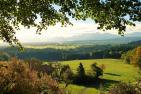 JA_autumn-1766611_1920_pixabay-silviarita.jpg