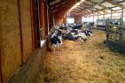 farm-2419037_1920_pixabay_Droelfzehn.jpg