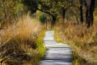 wooden-track-1932611_1920_pixabay_smellypumpy.jpg
