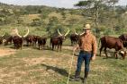 Pic15_Ankole_Cattle_kleiner.jpg
