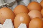 eggs-2662880_1920_pixabay_anaterate_schn.jpg