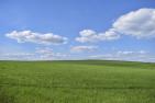 field-5429112_1920_pixabay_MichaelGaida.jpg