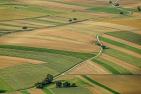 Schwoaze_pixabay_agriculture-3195381_1920.jpg