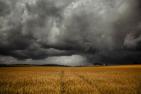 AdobeStock_216151856_jennewein_photo_kl.jpg