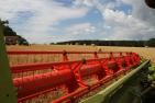 05.07.2016_Ernte-PK_Auftakt_Quelle_DBV__229_.JPG